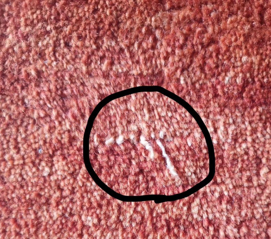 ギャッベラグ 手織りギャべ ペルシャ絨毯 中古品 汚れあり