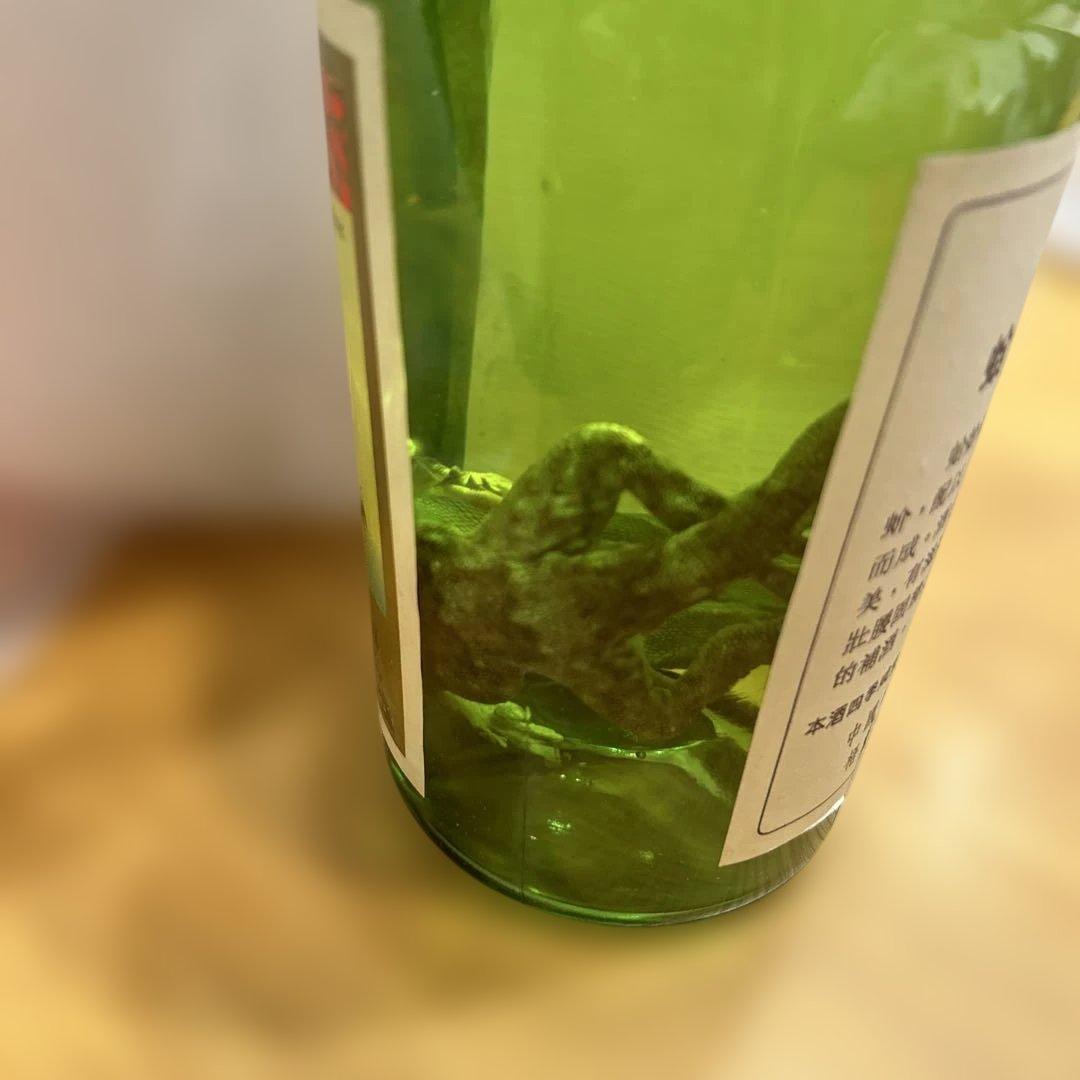 蛤蚧酒 オオヤモリ　トッケイヤモリ　中国　中国酒　酒　スピリッツ　古酒