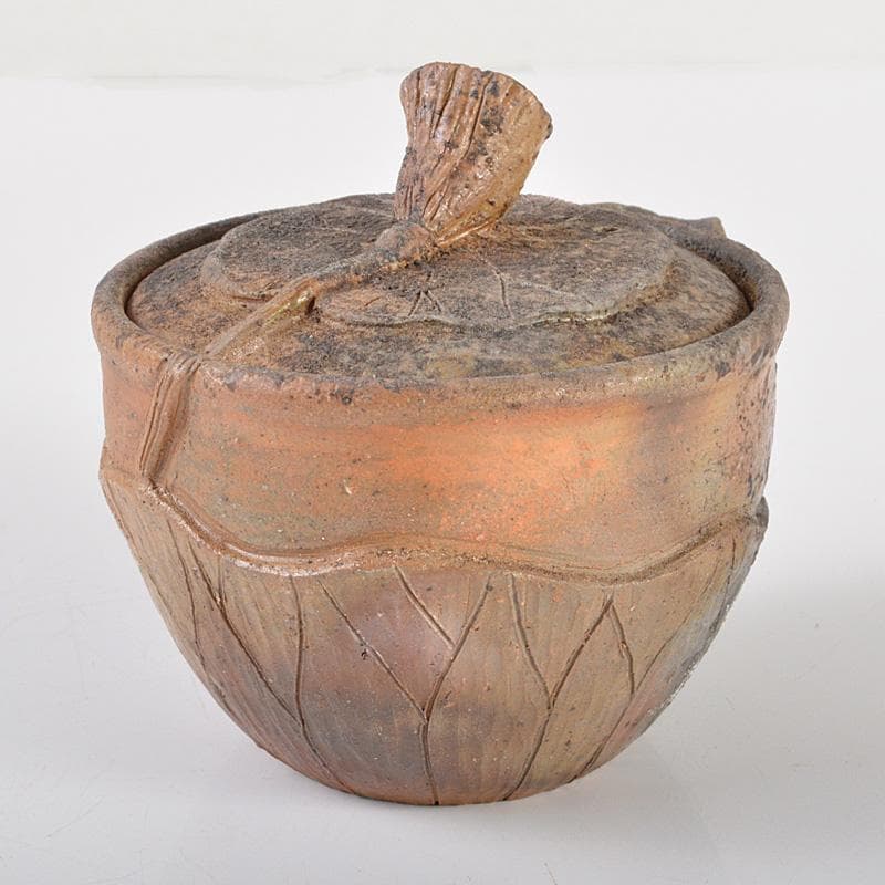 煎茶道具　備前焼　明光窯　蓮根摘蓮葉　宝瓶　急須　共箱　D　R6438