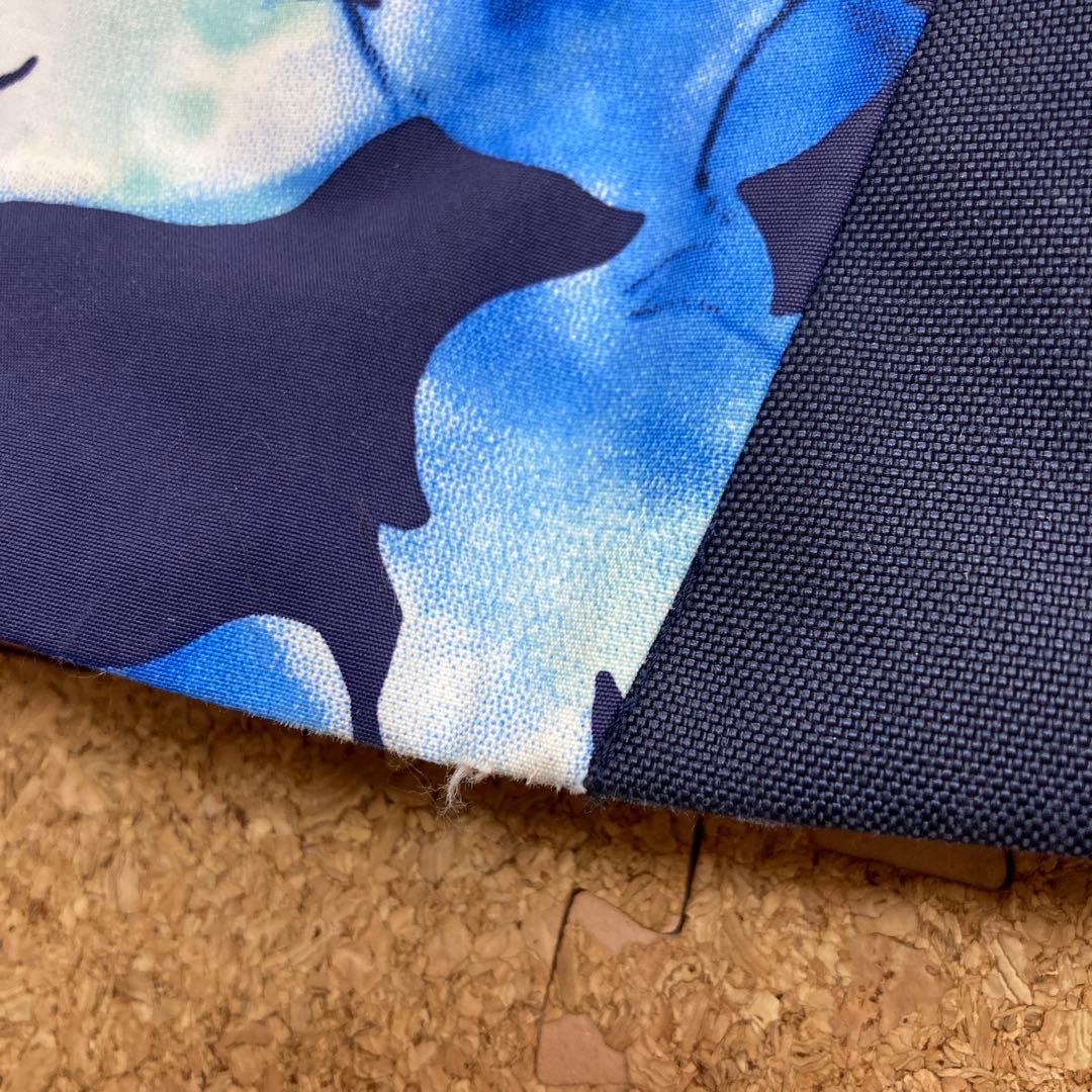 ゴールドウィン GOLDWIN スキーパンツ スキーウェア XLレディース青