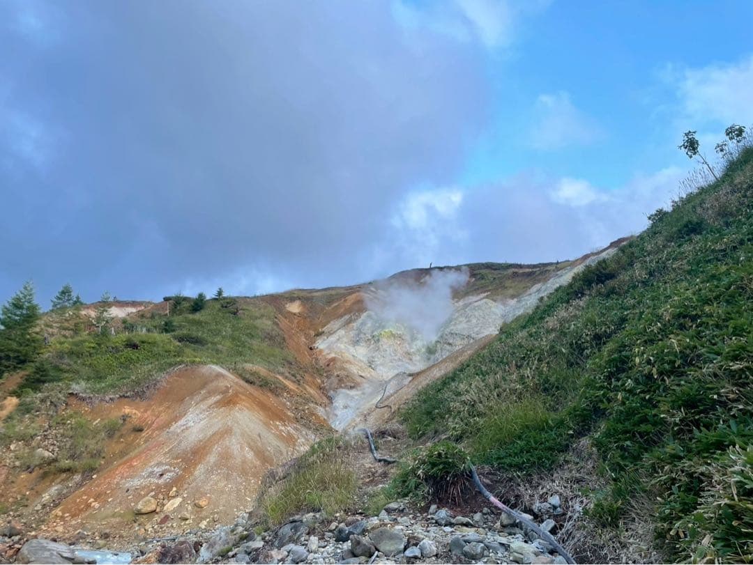 FUJIFILM FinePix AX600 （コンデジ）