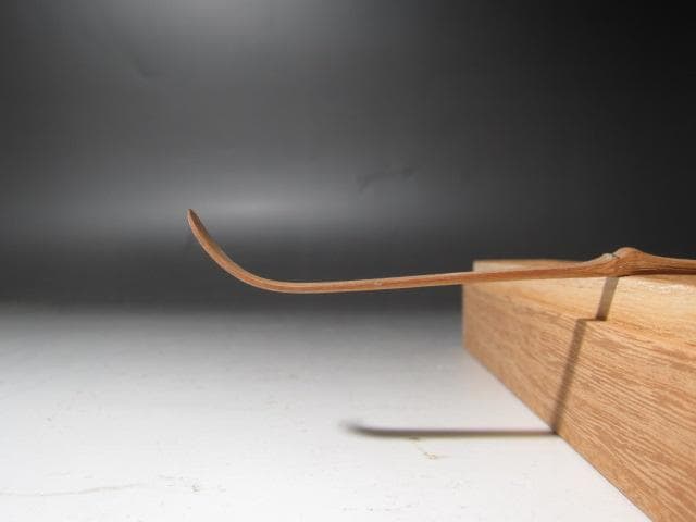 ★表千家十二代惺斎　自作茶杓　山里　十三代即中斎の花押がございます★x313