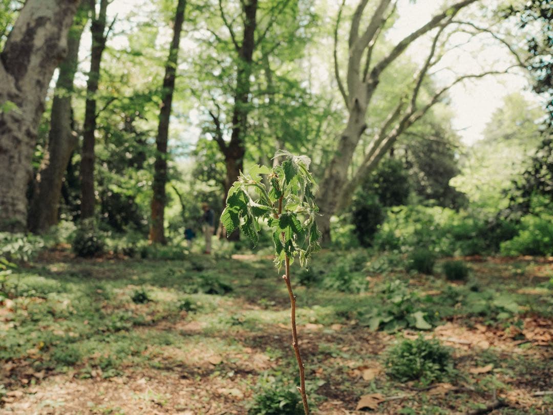 デジタルカメラ lumix gx7mk2 LEICA 15mm f1.7