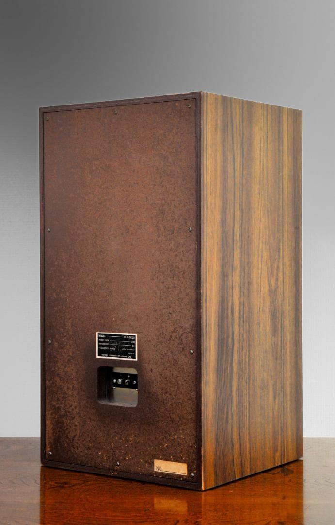 ★洒落感あって人気の2ウエイセクトラルホーンのVICTOR BLA-G620T