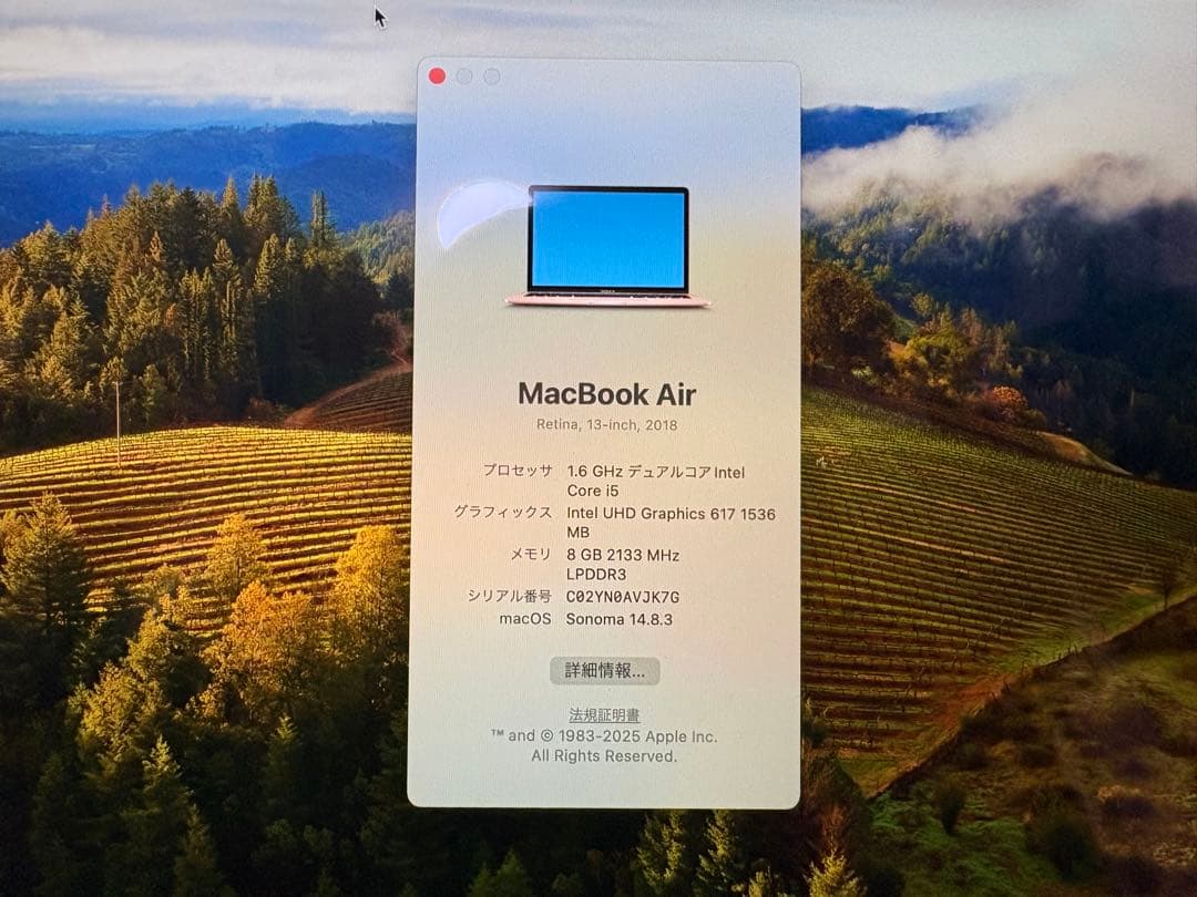 【放充電回数106回】Apple MacBook Air 13インチ(箱あり)