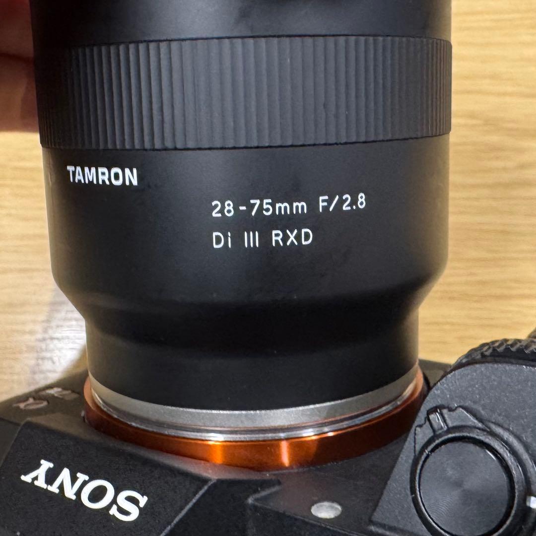 SONY α7 III + TAMRON 28-75mm F/2.8