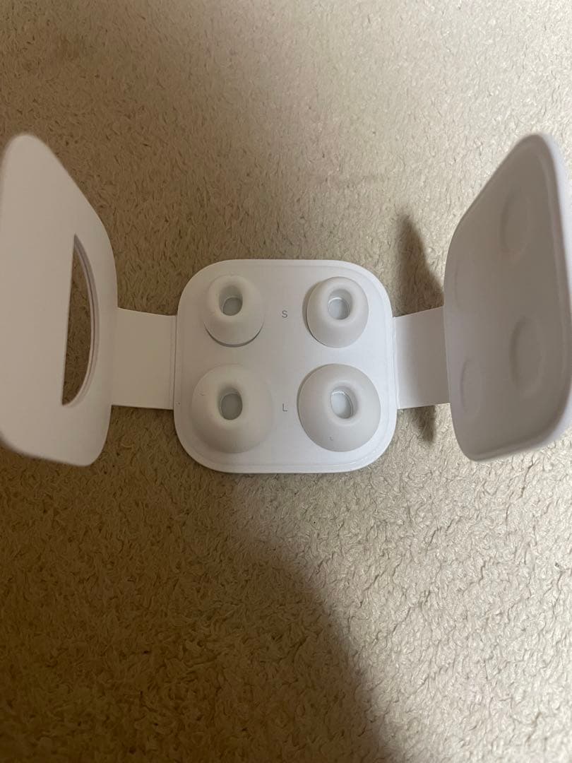 Apple AirPods Pro 第1世代、ケーブル、イヤーチップ