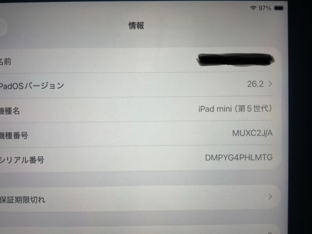 apple ipadmini 5世代 256GB WIFI＋セルラー