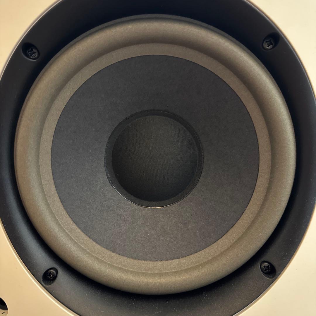 BOSE 301 V 動作確認済み　左右セット