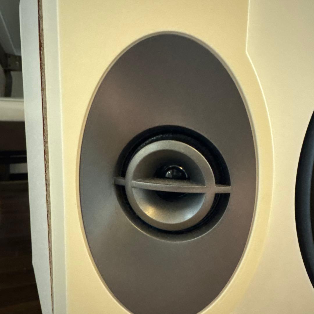 BOSE 301 V 動作確認済み　左右セット