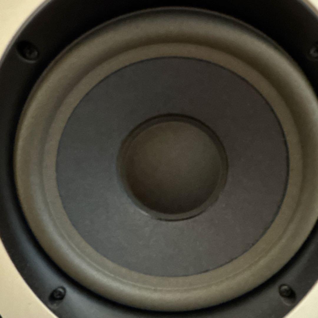 BOSE 301 V 動作確認済み　左右セット