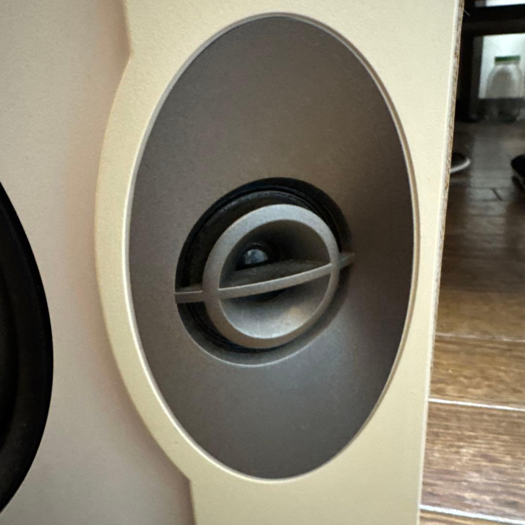 BOSE 301 V 動作確認済み　左右セット