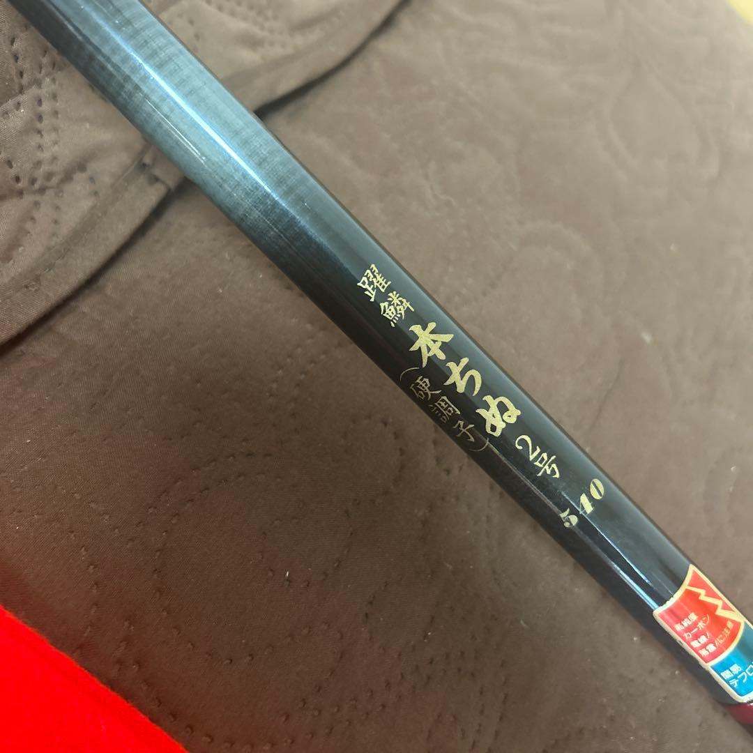 躍鱗　本ちぬ　2号　540