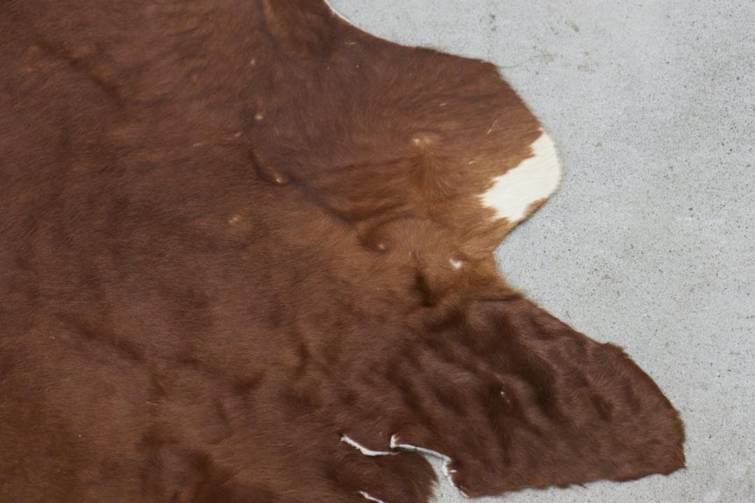 牛革 本革 カウラグ 220×197 カーペット 絨毯 敷物 大判 毛皮