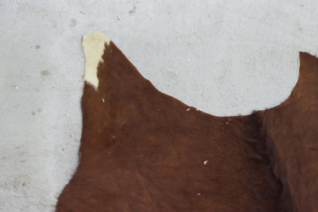 牛革 本革 カウラグ 220×197 カーペット 絨毯 敷物 大判 毛皮