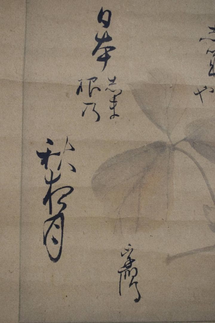 【真作】松村呉春（画）賀茂李鷹（賛）/土筆葛の花/掛軸☆宝船☆Y-773　JM