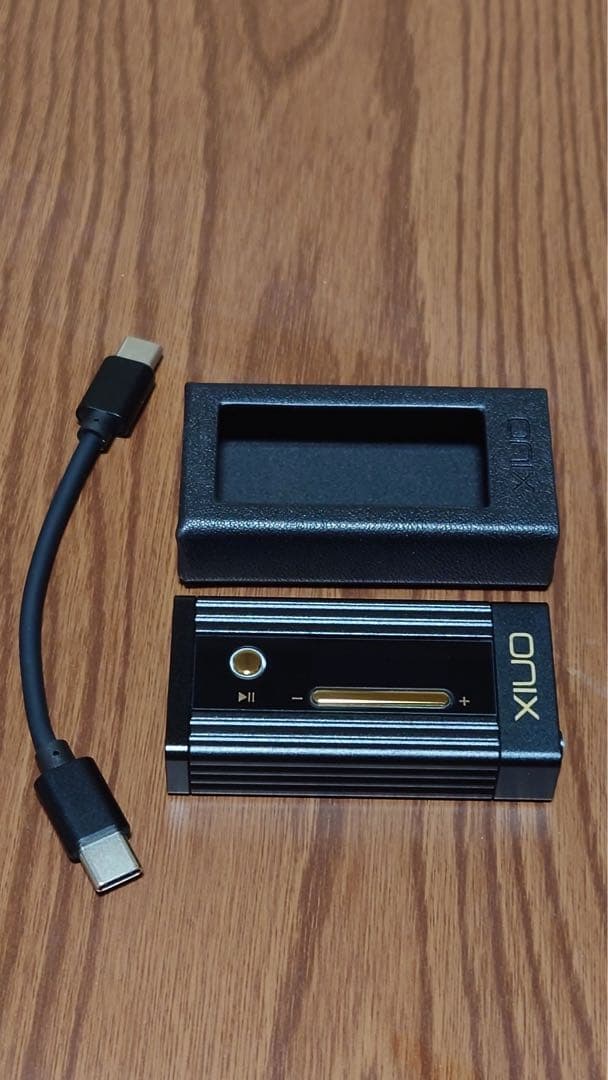 Fiio FT1 PRO + ONIX Alpha XI1 ケース付き +オマケ