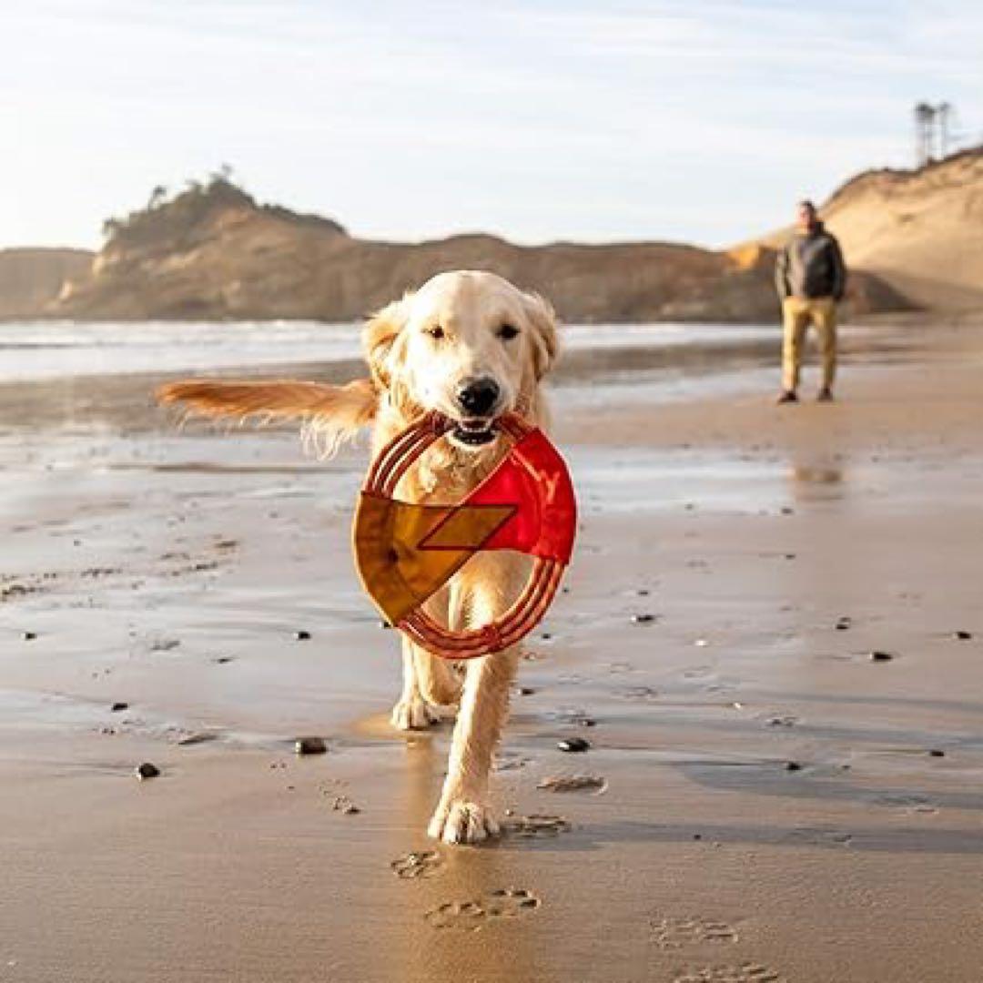 【新品】ラフウエア/パシフィックルクループトイ& パシフィックリングトイ セット