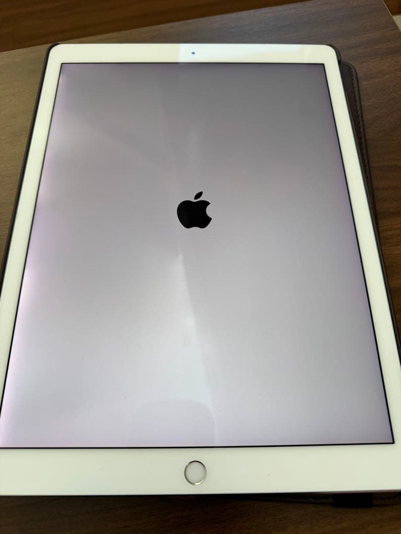 iPadPro 12.9inch 第2世代 256GB セルラーモデル