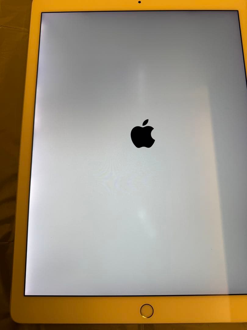 iPadPro 12.9inch 第2世代 256GB セルラーモデル