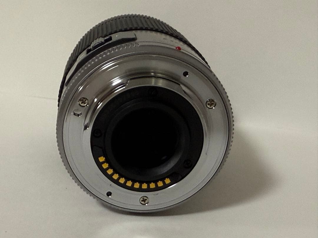 美品　Panasonic G X VARIO PZ 45-175mm