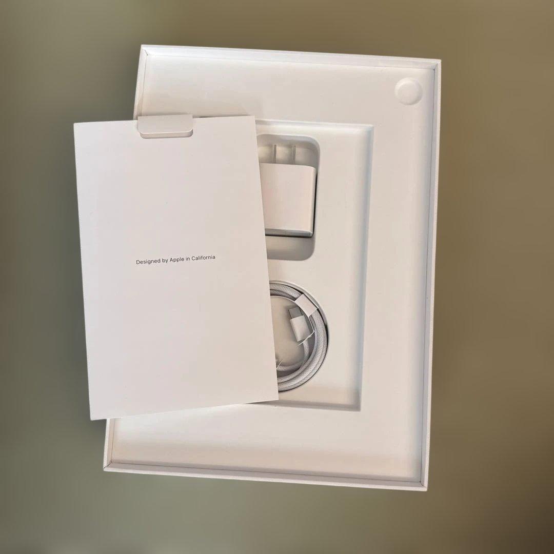 Apple iPad 本体 ピンク