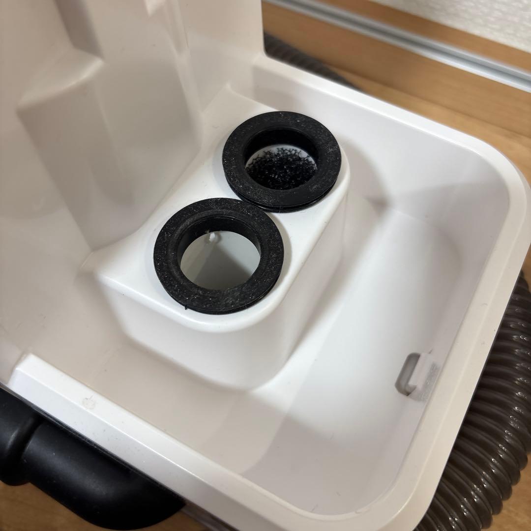 2025年製　アイリスオーヤマ　リンサークリーナー RNSP-P500