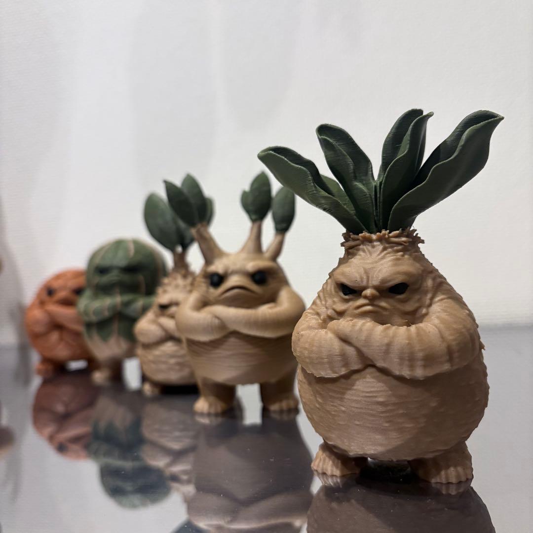 フィギュア Sサイズ 5点セット　グラキリス オベサ ブーファン