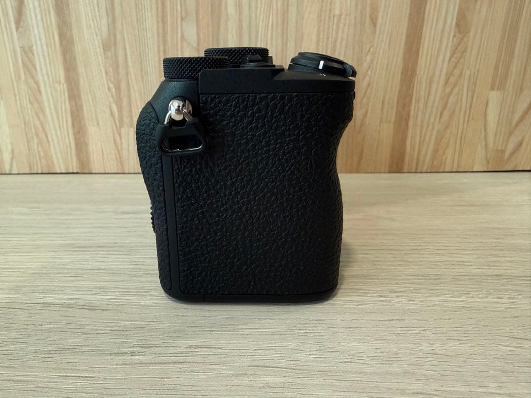 SONY α7C II 撮影枚数140枚 おまけ付