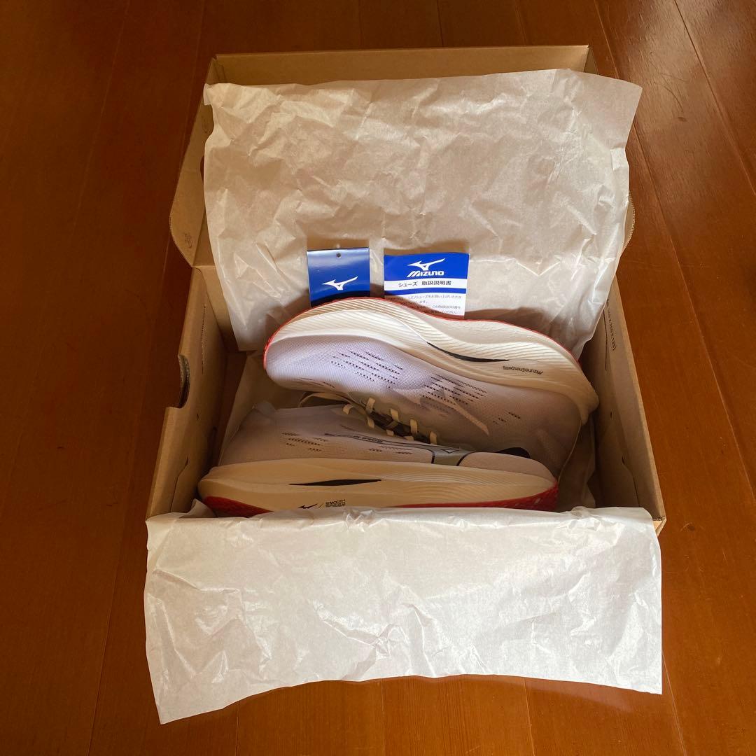 Mizuno WAVE REBELLION PRO 2 26.5cmプレート入り