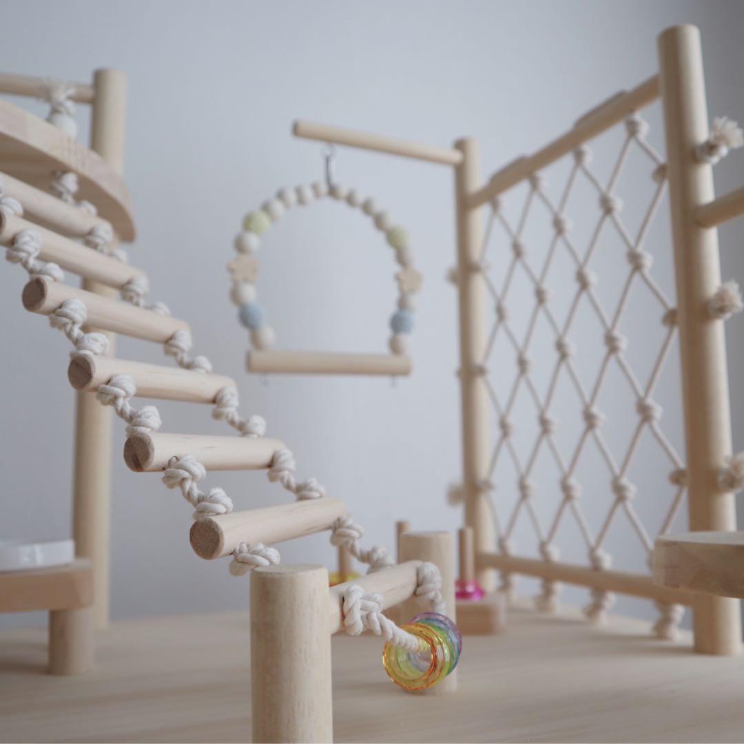 ことりのおおきなあそびば　インコ　バードジム　バードアスレチック　ブランコ