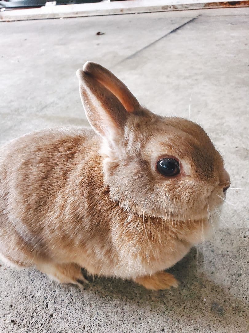 コメント前にプロフィール必ず必読