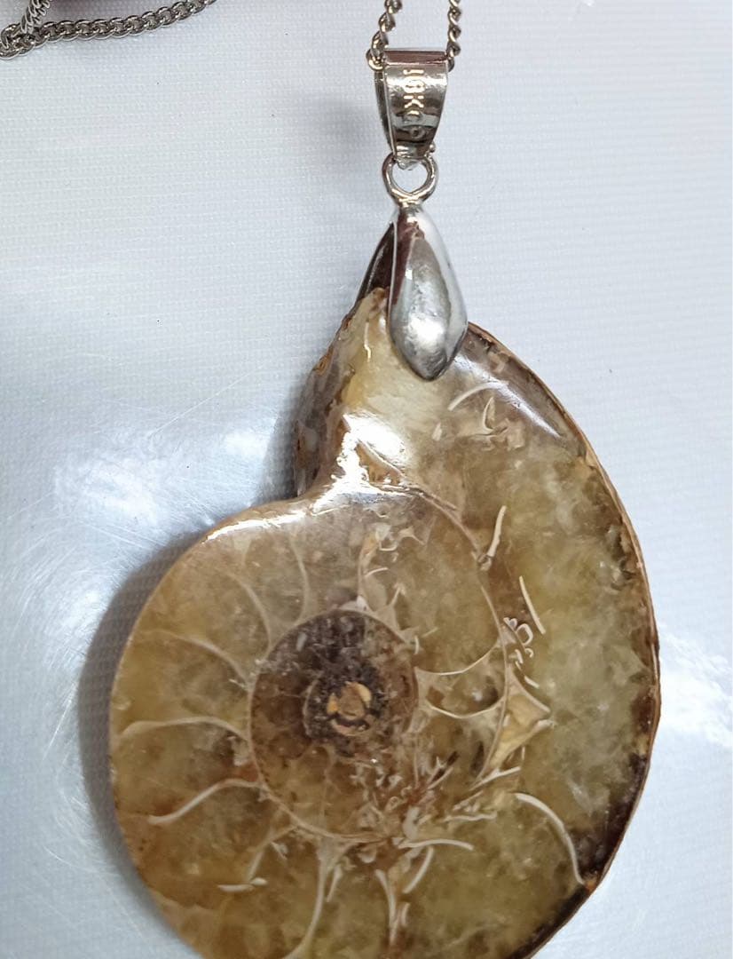 天然 アンモナイト アンティーク ペンダント ネックレス 2点 セット