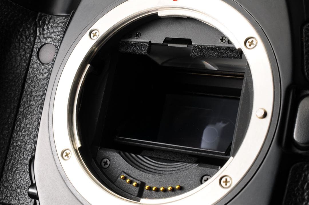 Canon キャノン EOS-1V HS PB-E2 フィルムカメラ