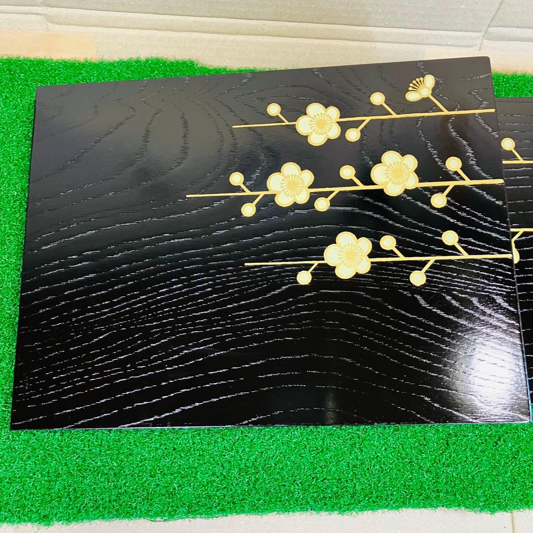 紀州漆器 雅盆 5枚組 ＆ 脇取盆 5枚組 合計10枚入れ子セット 新品