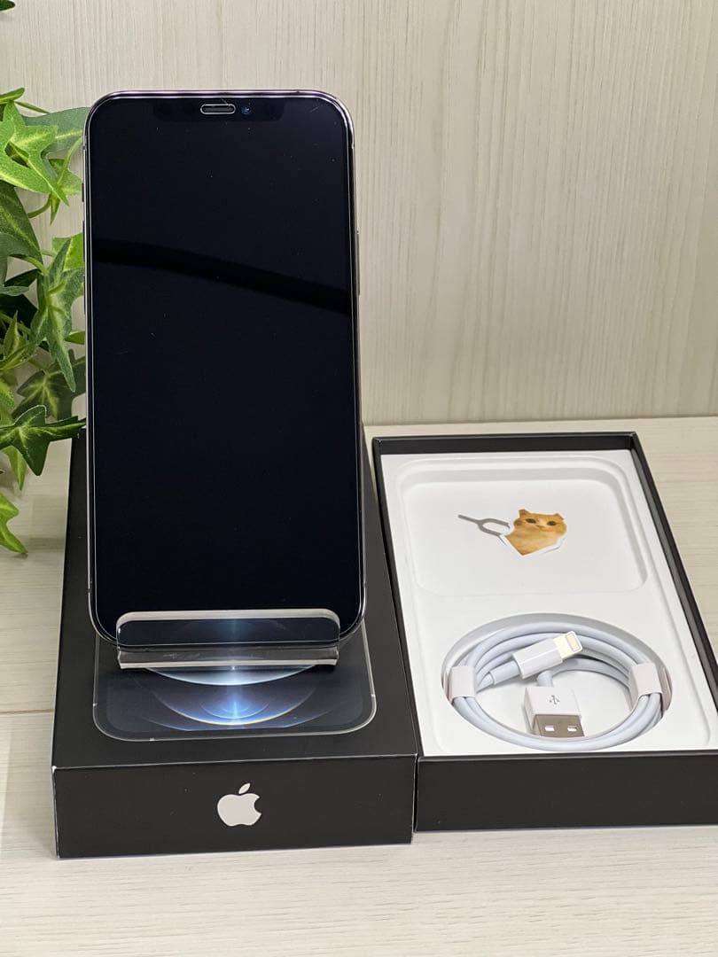 ✅美品・100％✨iPhone 12 pro ✨256GB❣️SIMフリー