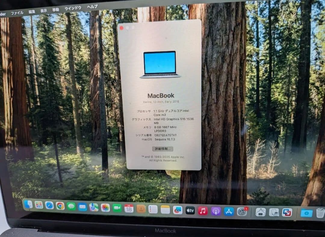 MacBook本体 Macbook 2016 12inch Core m3 8GB