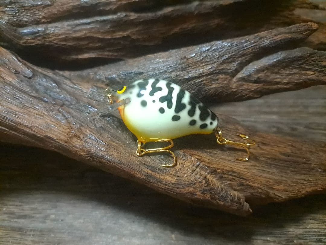 バルサ50　オリジナル　ベイブ　ホワイトコーチ