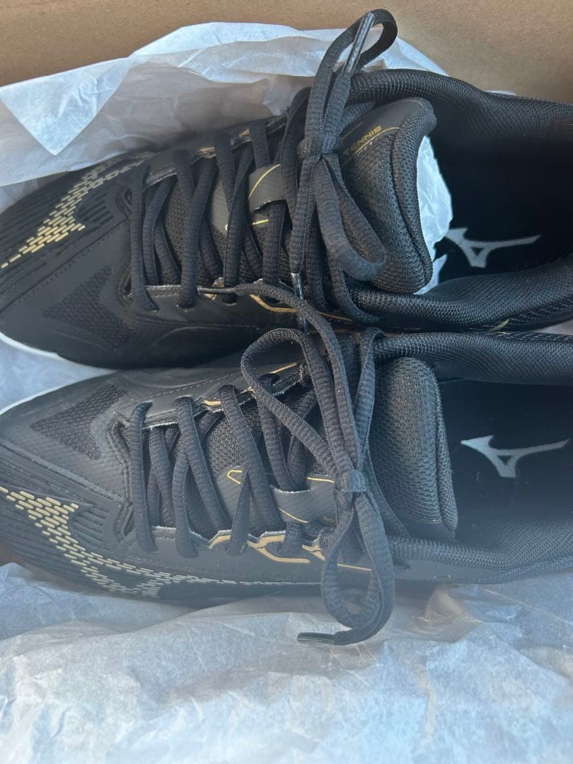 テニスシューズ ウエーブエクシードライト 2 OC