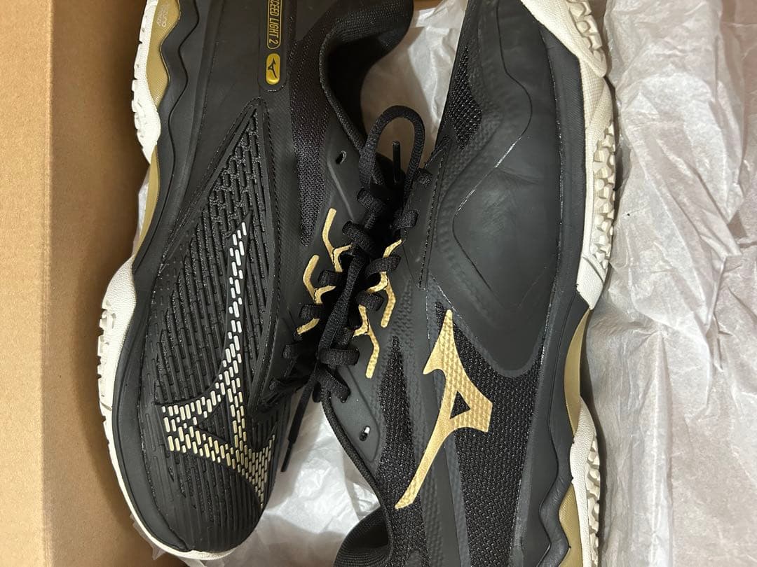 テニスシューズ ウエーブエクシードライト 2 OC