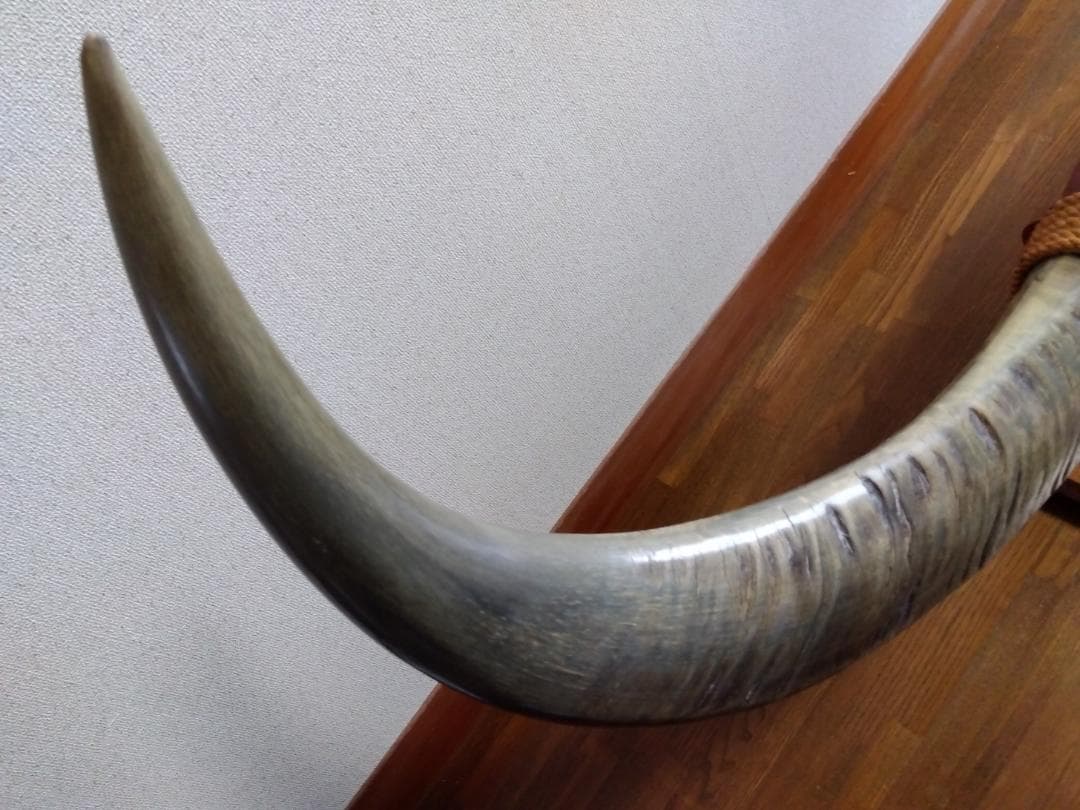 水牛の角の置物　希少　ビンテージ　骨董品　手渡し可（値引）