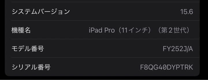 iPad Pro 11インチ 128GB シルバー