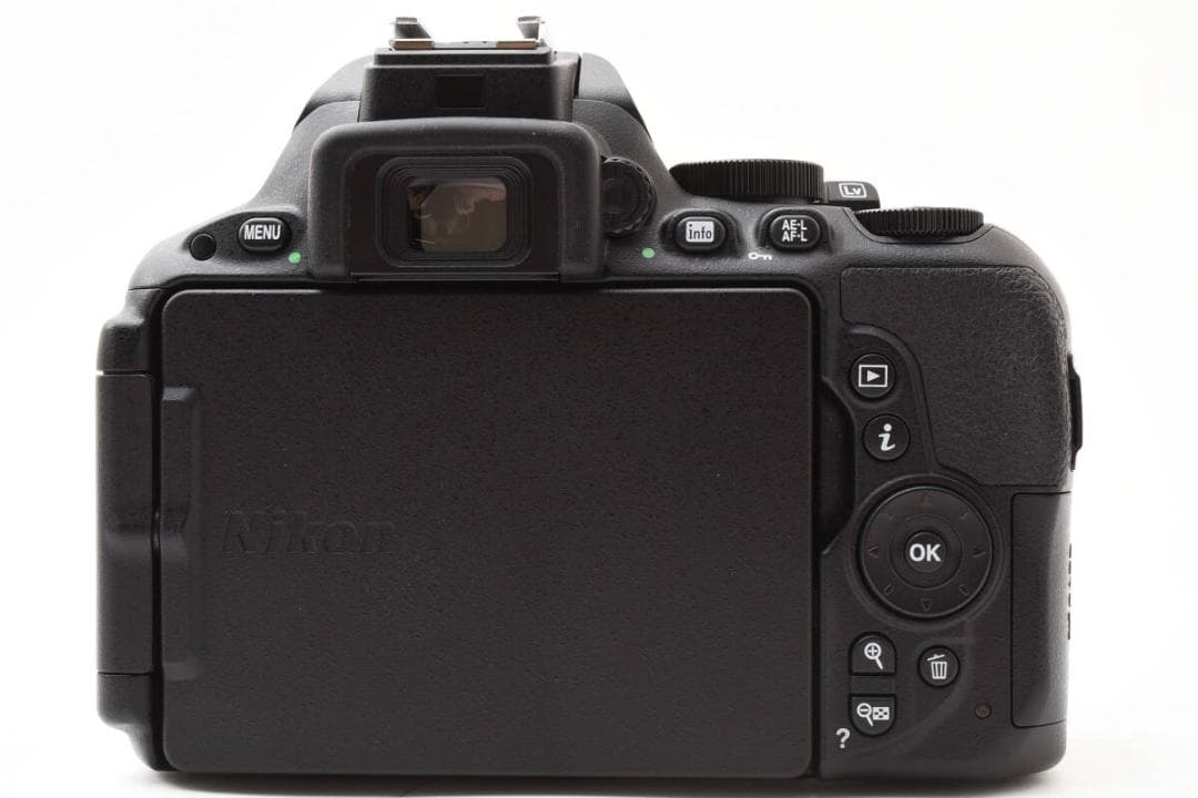 ★極上★ Nikon D5500 18-55mm VR ii 撮影 1537枚