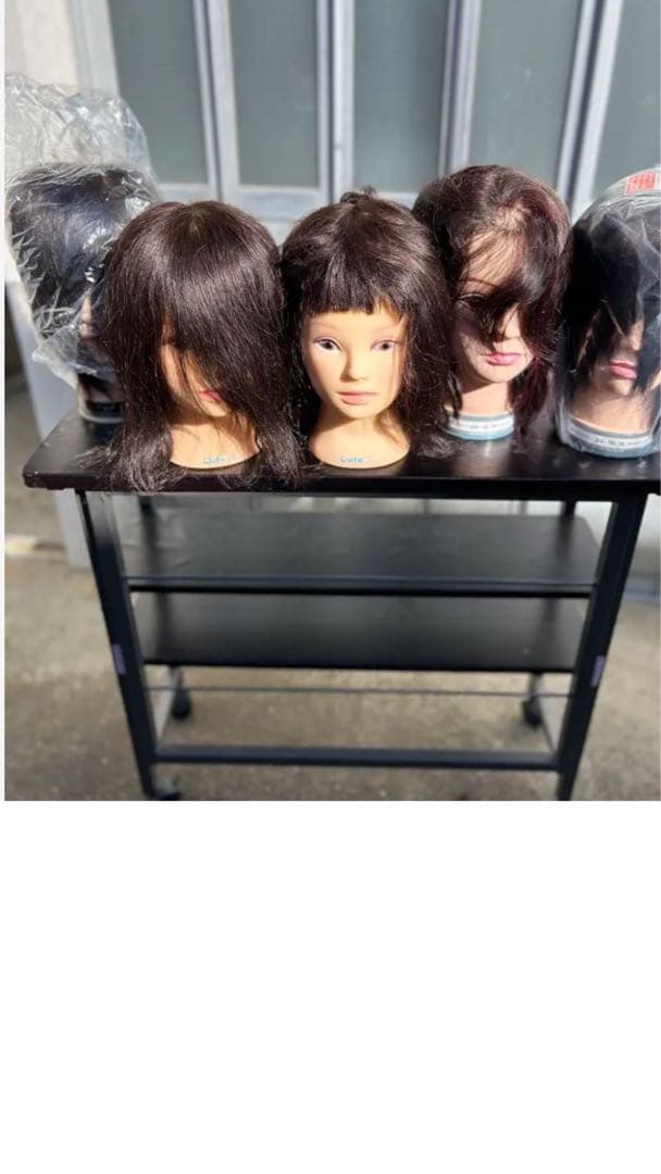 国試仕込み済みAWウィッグ2個と カットウィッグ5個セット