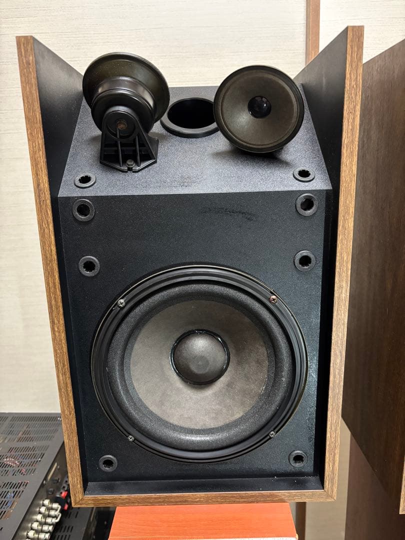 Bose 301 series ii 珍しい色