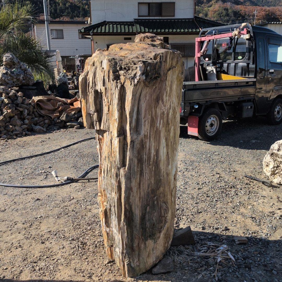 秋田産　珪化木　613キロ　庭石　石 鑑賞石　石材　庭　坪庭　ガーデニング