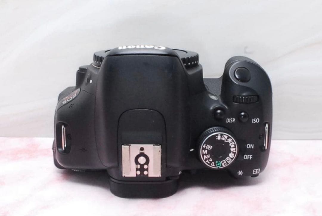 入門機に✨Canon EOS Kiss X5✨標準レンズカメラ✨一眼レフ