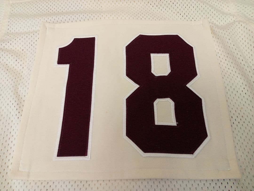 早稲田 系 学校 野球部 ユニフォーム 背番号付き