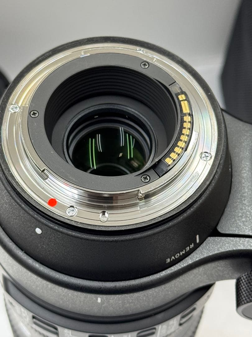 SIGMA 150-600mm F5-6.3 DG キヤノンEFマウント用