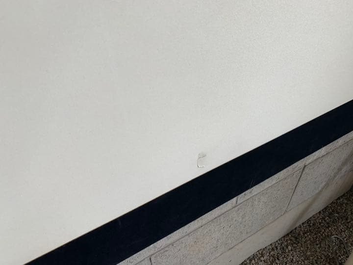 パイオニア　200インチ　スクリーン